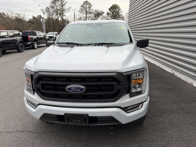 2021 Ford F-150 XLT's photo