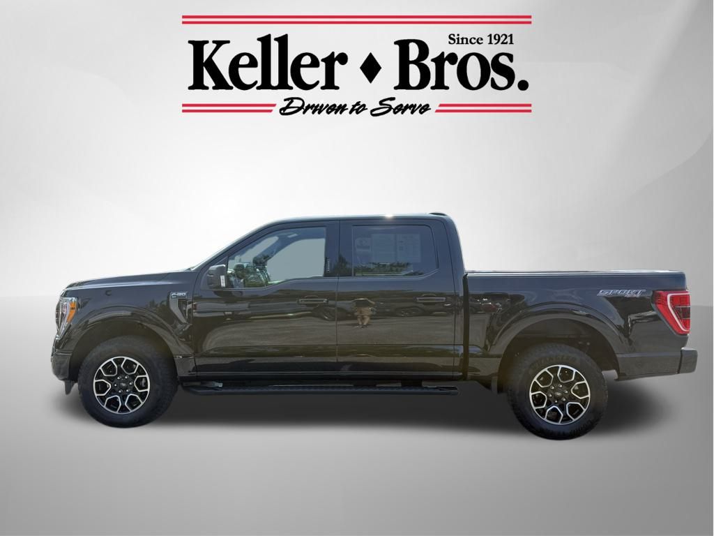 2023 Ford F-150 XLT photo 4
