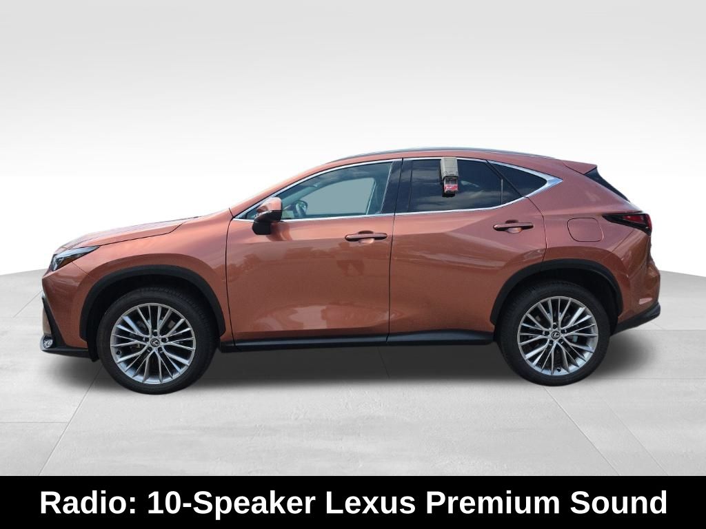 2025 Lexus NX 350 Premium photo 10
