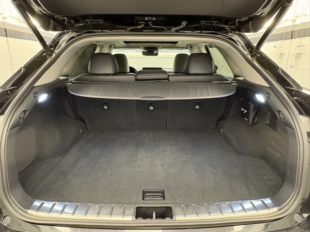 2017 Lexus RX 450h photo 23
