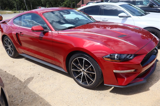 2023 Ford Mustang EcoBoost Premium photo 2