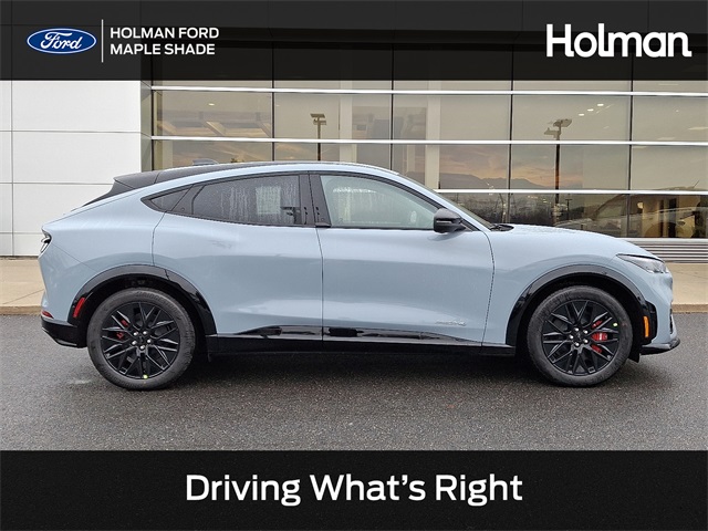 2025 Ford Mustang Mach-E Premium AWD's photo