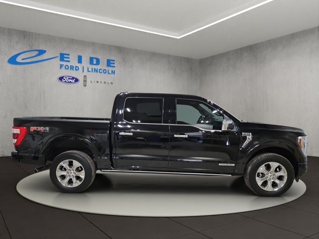 2023 Ford F-150 Platinum photo 2