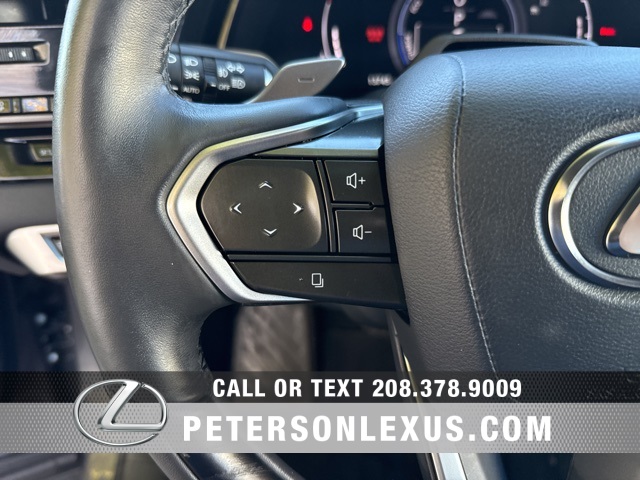 2024 Lexus RX 350h Premium photo 25