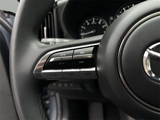 2025 Mazda CX-50 2.5 Premium Plus photo 8