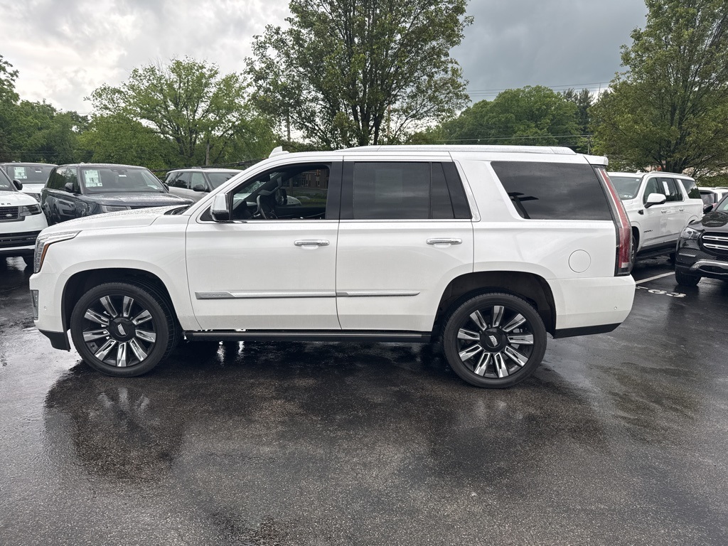 2020 Cadillac Escalade Platinum photo 2