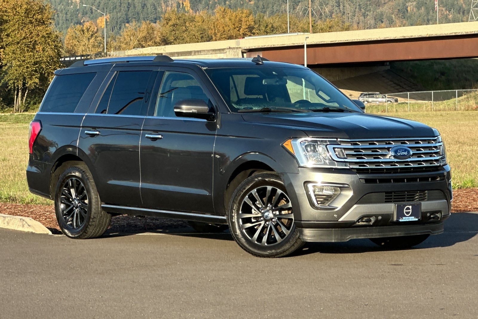 2019 Ford Expedition Limited's photo