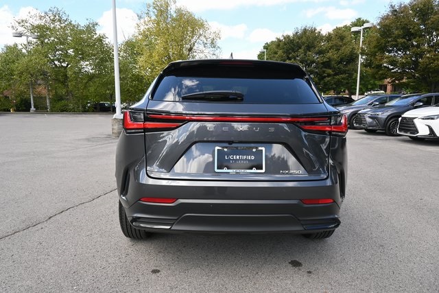 2025 Lexus NX 250 Premium photo 4