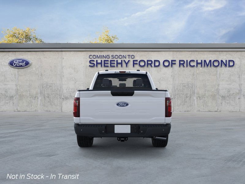 2025 Ford F-150 XL photo 3