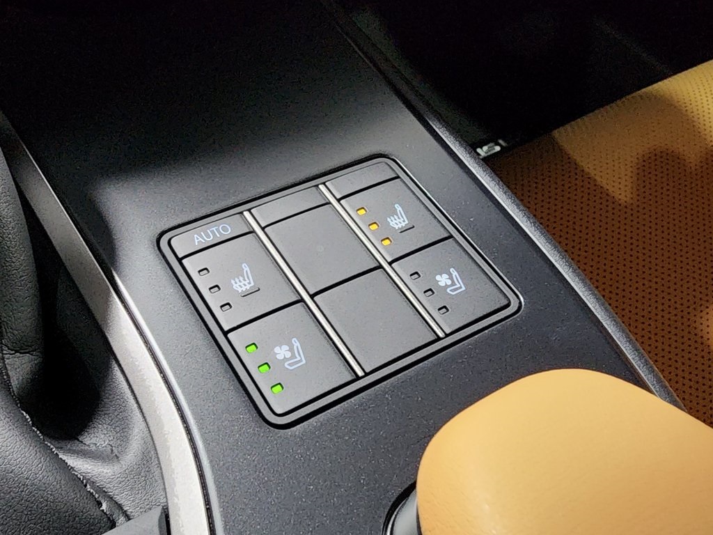 2025 Lexus UX photo 22