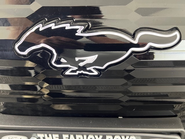 2025 Ford Mustang Mach-E GT photo 24