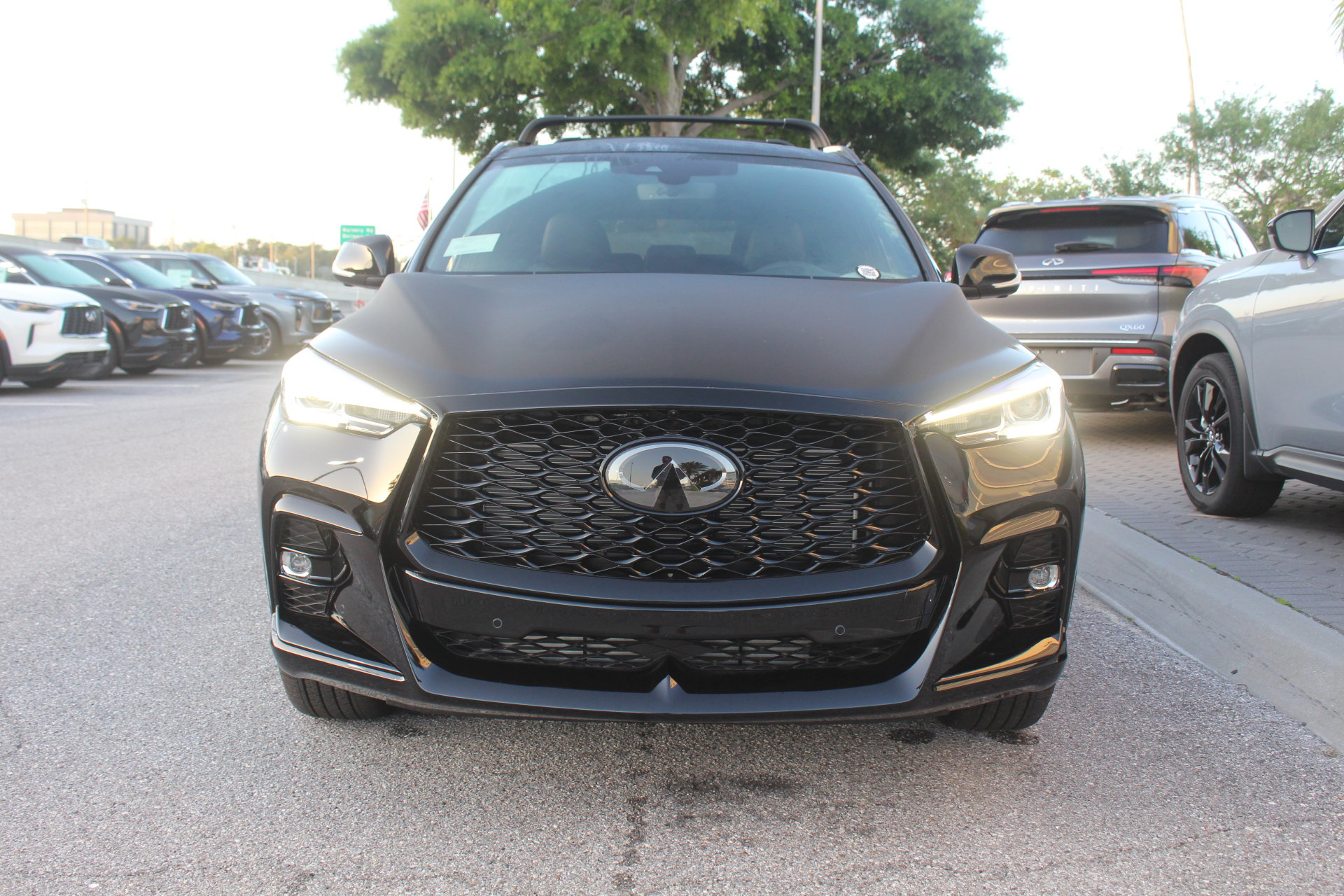 2025 Infiniti QX50 SPORT photo 8
