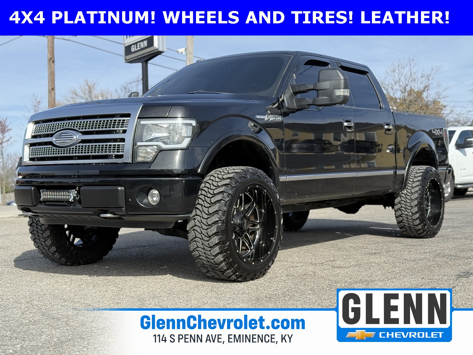 2010 Ford F-150 Platinum