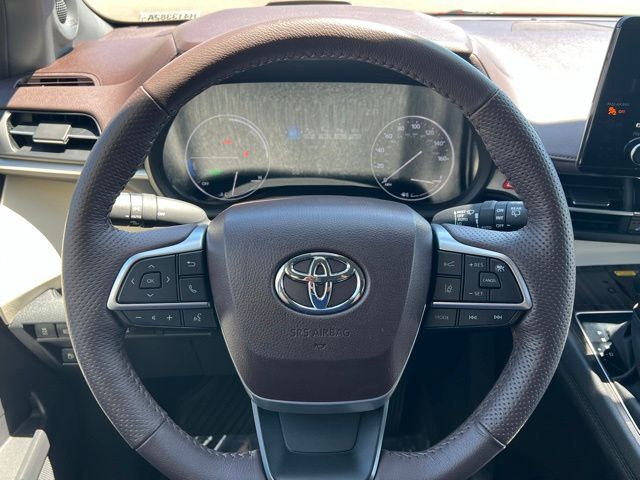 2024 Toyota Sienna Platinum photo 10