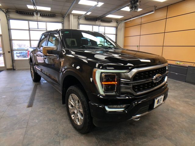 2023 Ford F-150 Platinum's photo