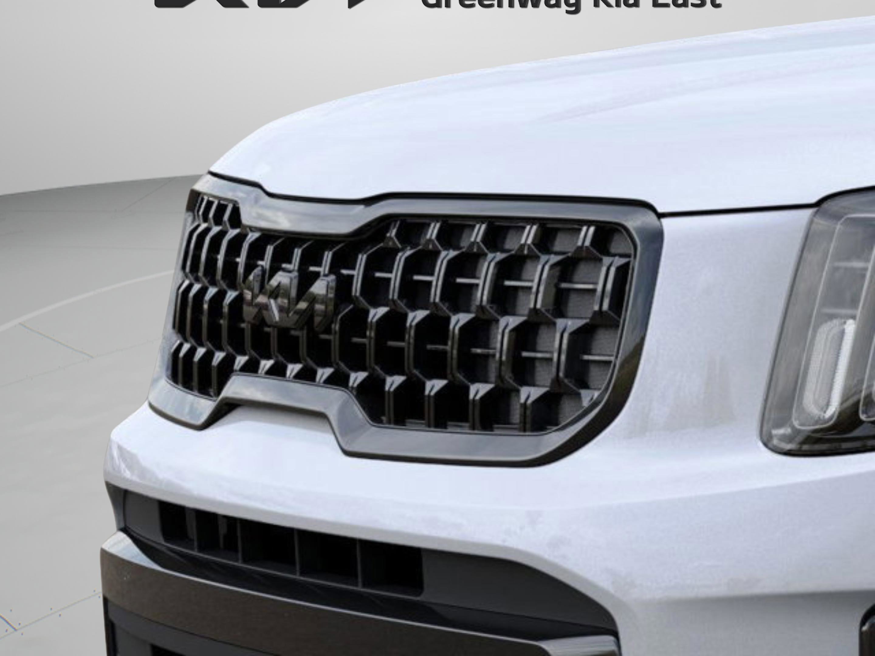 2025 Kia Telluride EX X-Line photo 5