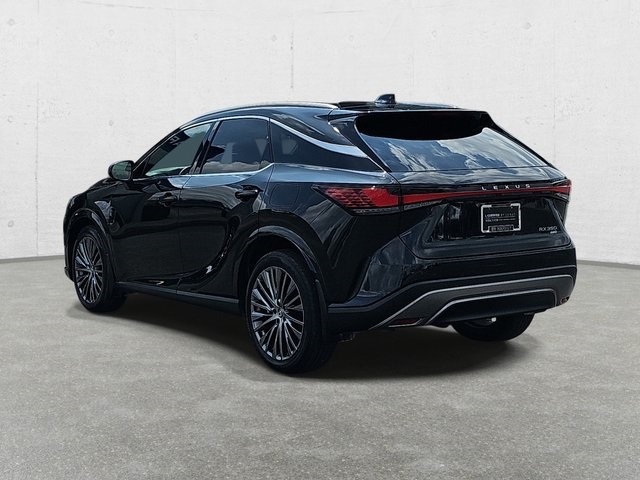 2024 Lexus RX 350 Luxury photo 7