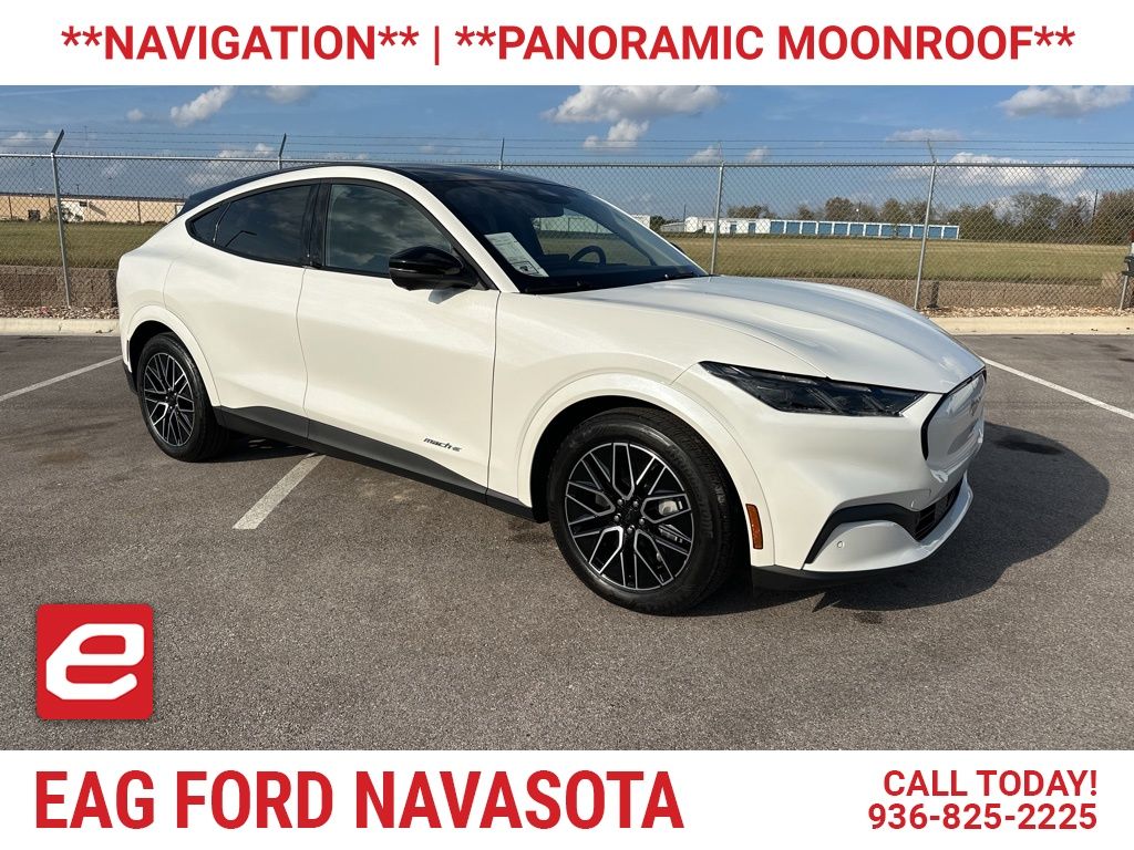 2025 Ford Mustang Mach-E Premium RWD's photo