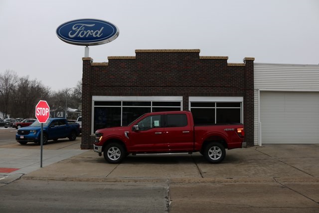 2025 Ford F-150 XLT's photo