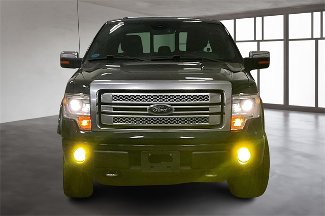 2013 Ford F-150 Platinum photo 3
