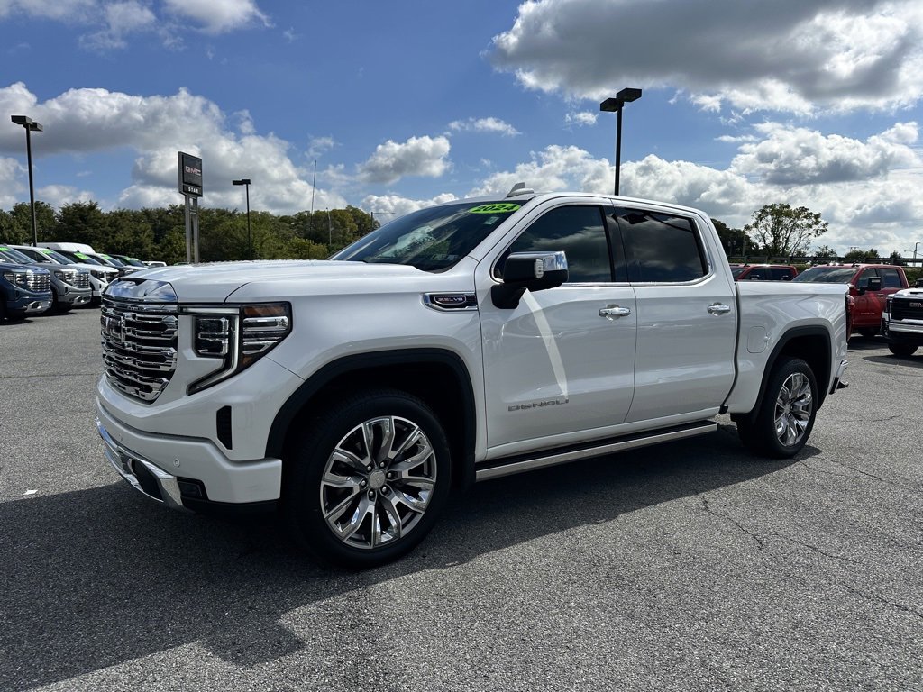 2024 Gmc Sierra 1500 Denali photo 2