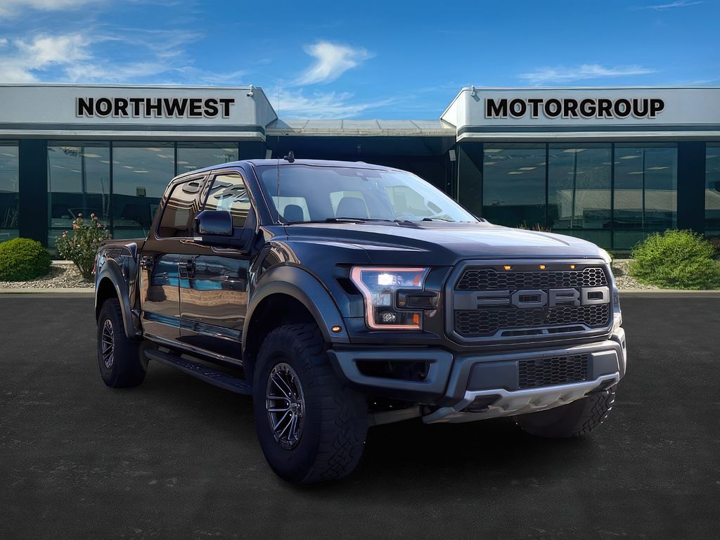 2019 Ford F-150 Raptor's photo