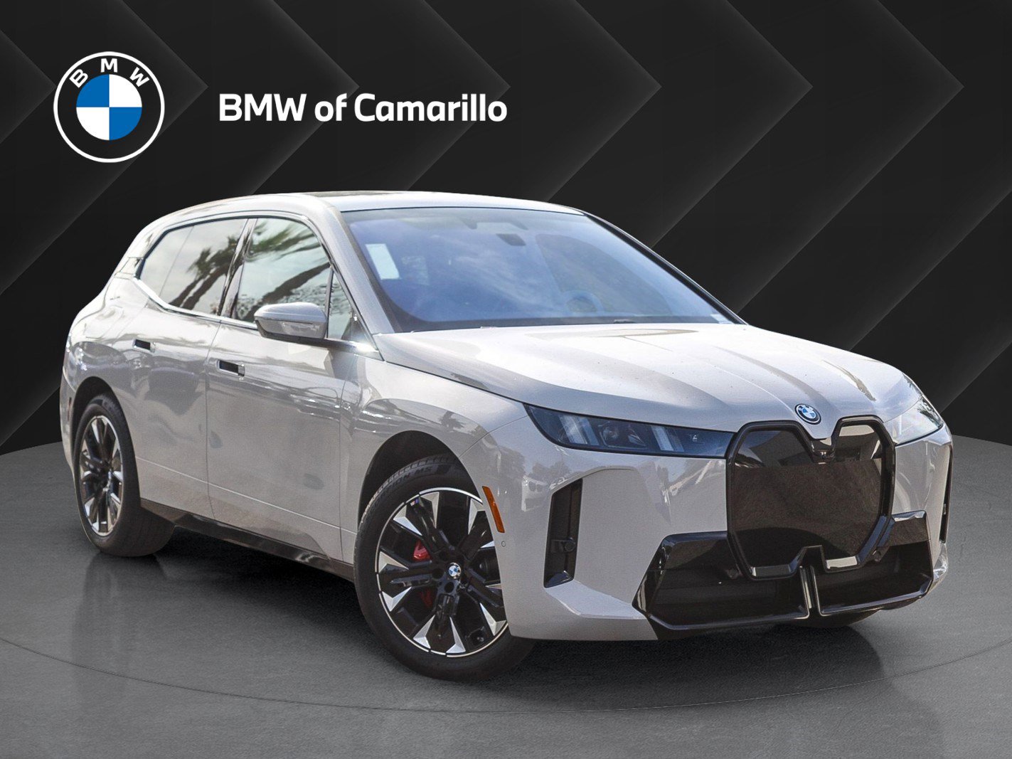 2026 BMW iX 60's photo