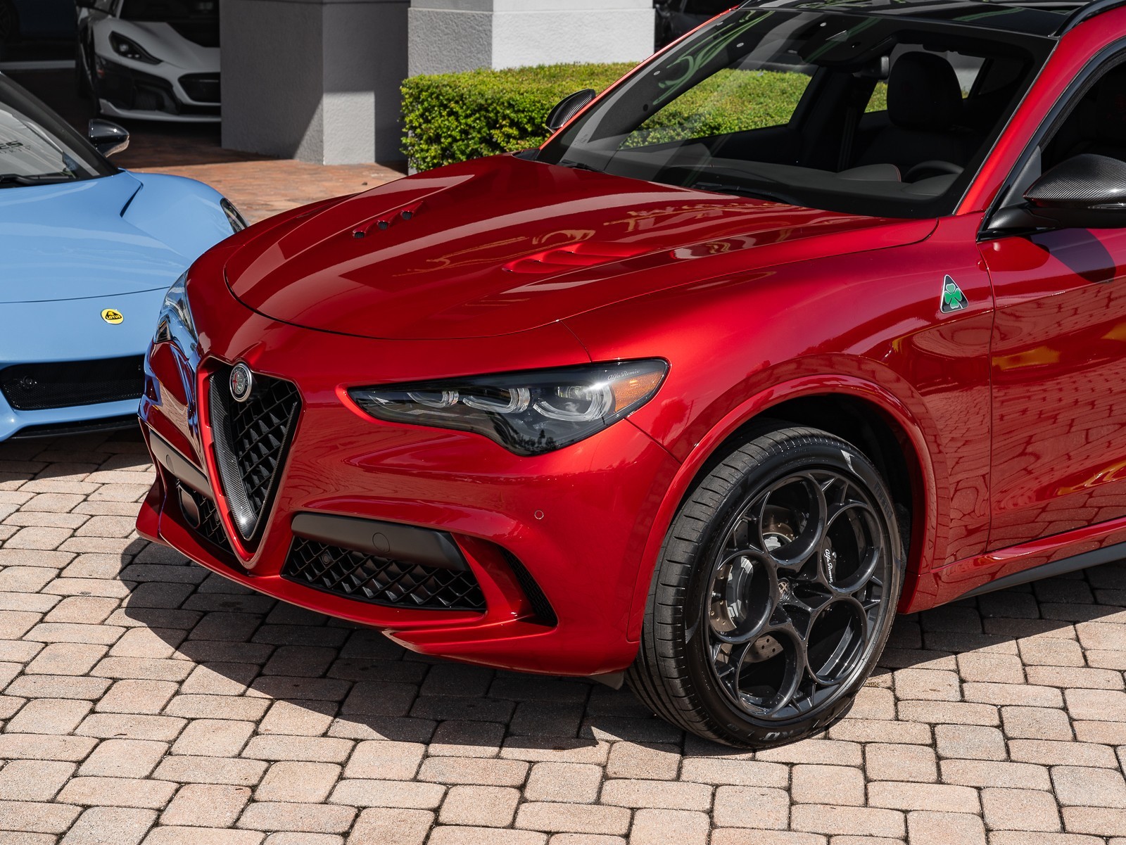 2024 Alfa Romeo Stelvio Quadrifoglio photo 4