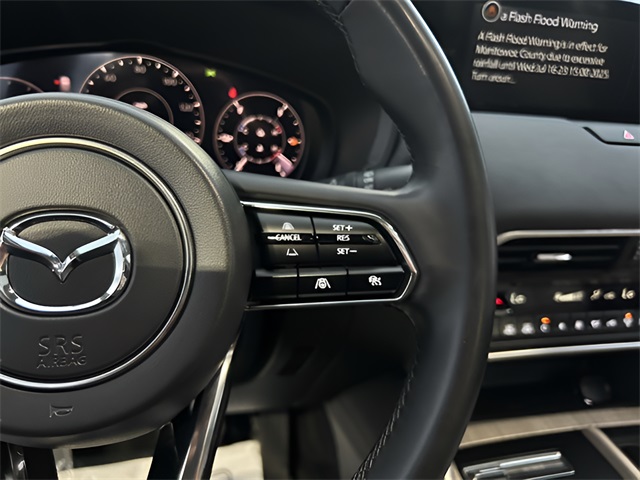 2025 Mazda CX-90 Premium photo 12