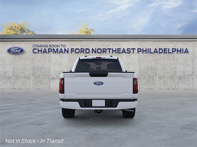 2025 Ford F-150 STX photo 3