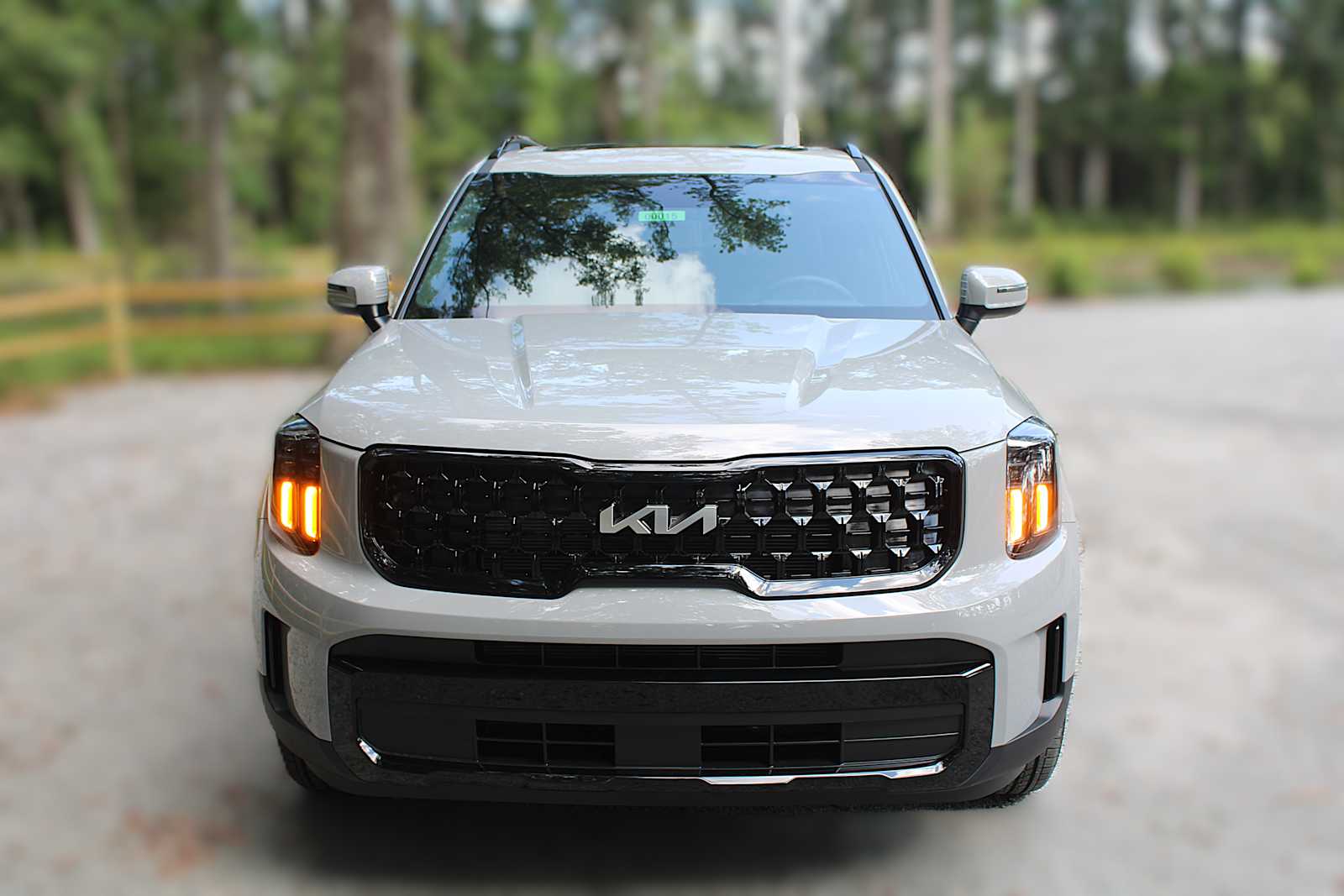2025 Kia Telluride EX X-Line photo 17