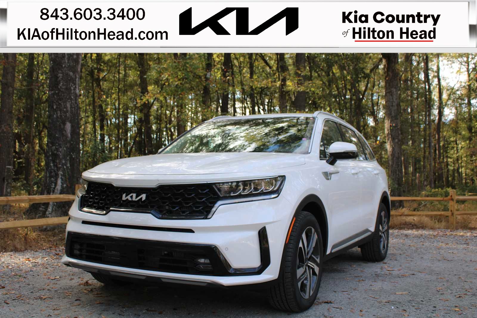 2025 Kia Sorento EX Hybrid's photo