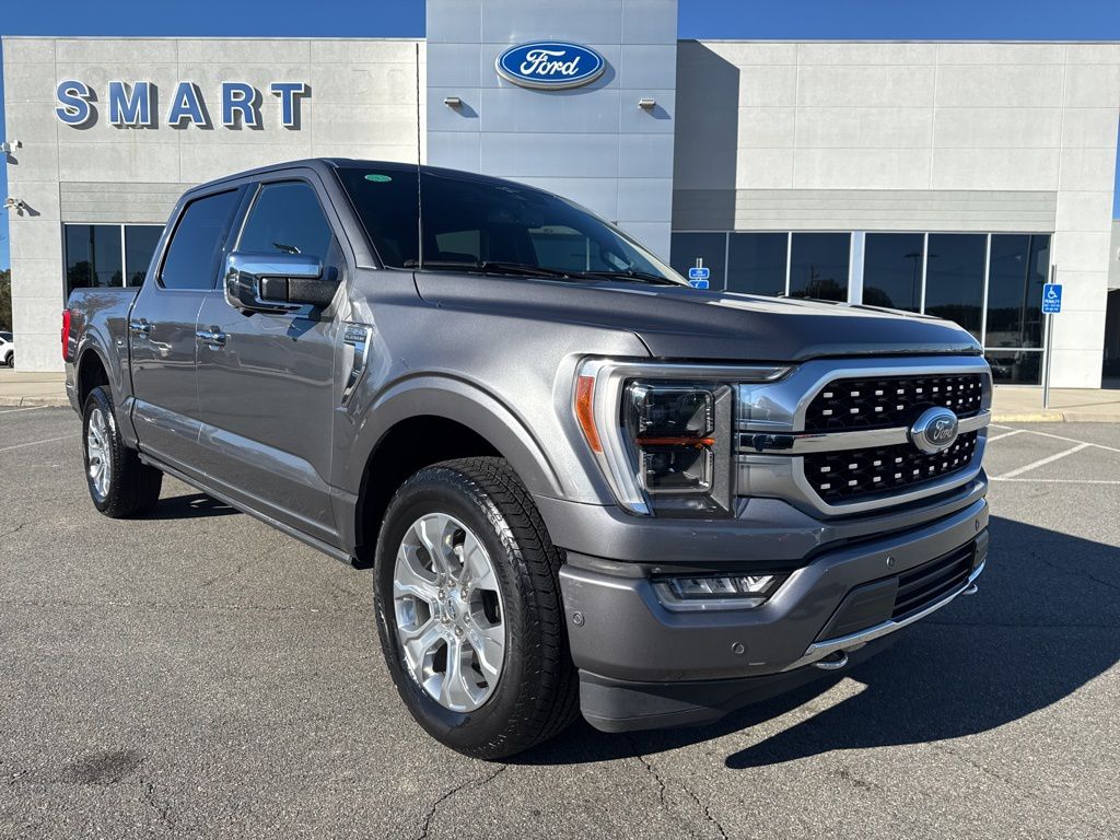 2023 Ford F-150 Platinum's photo