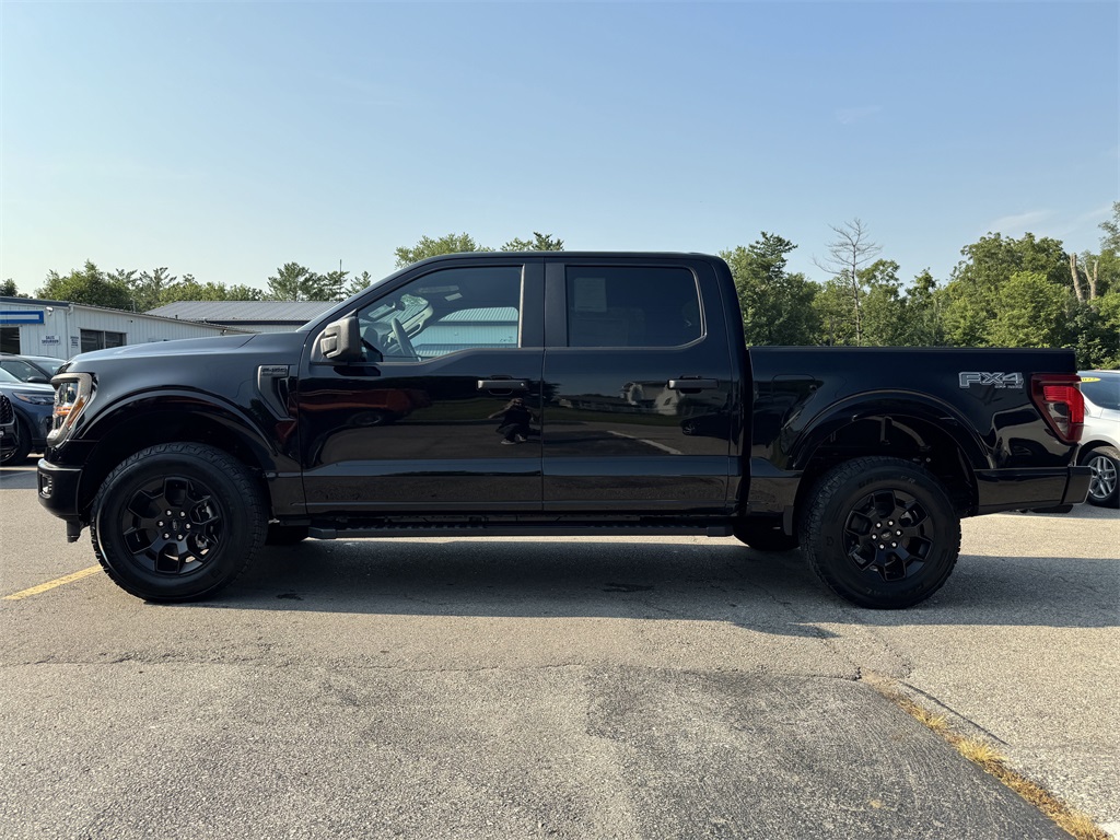2025 Ford F-150 STX photo 8