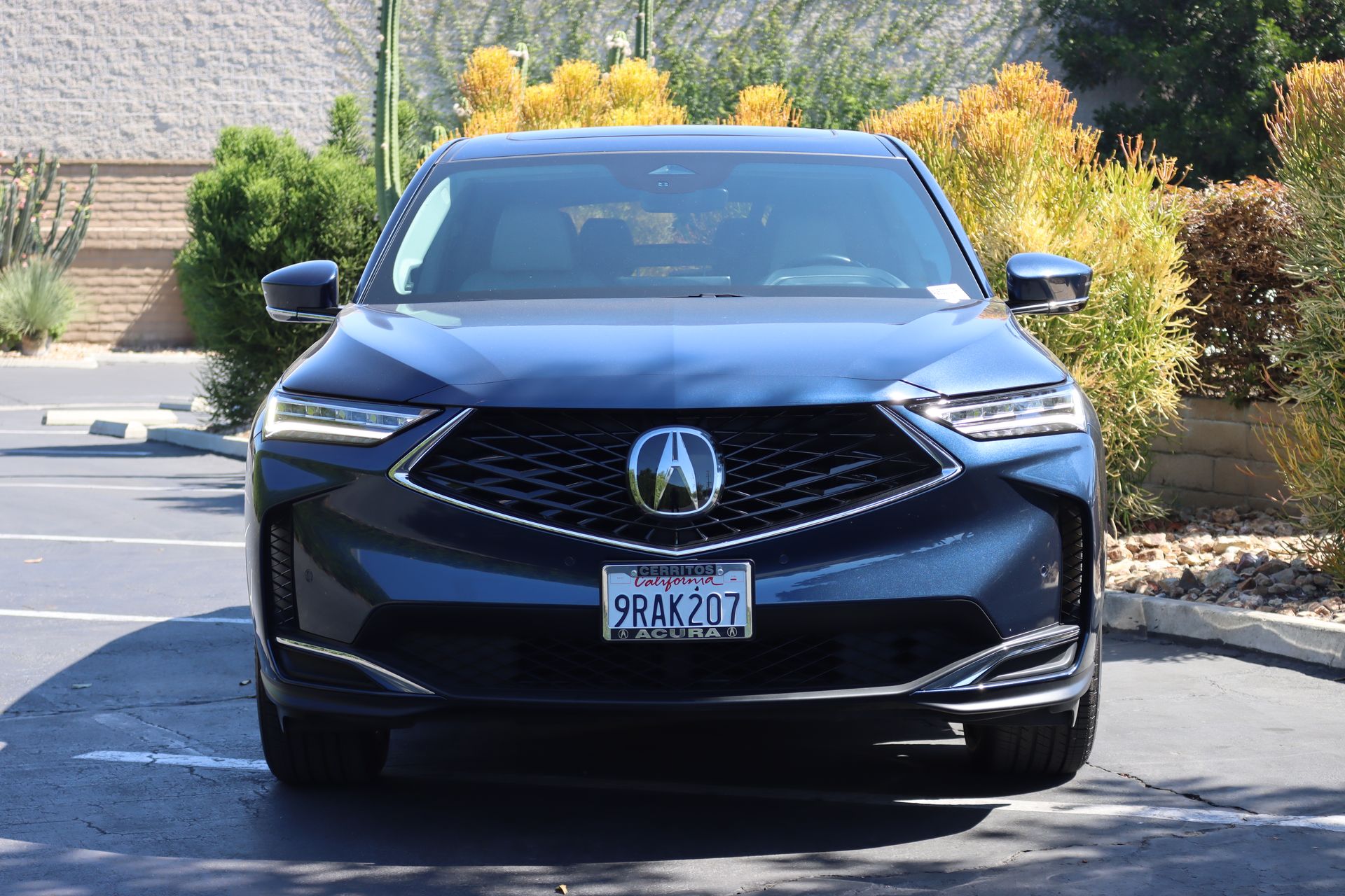2025 Acura MDX Technology photo 3