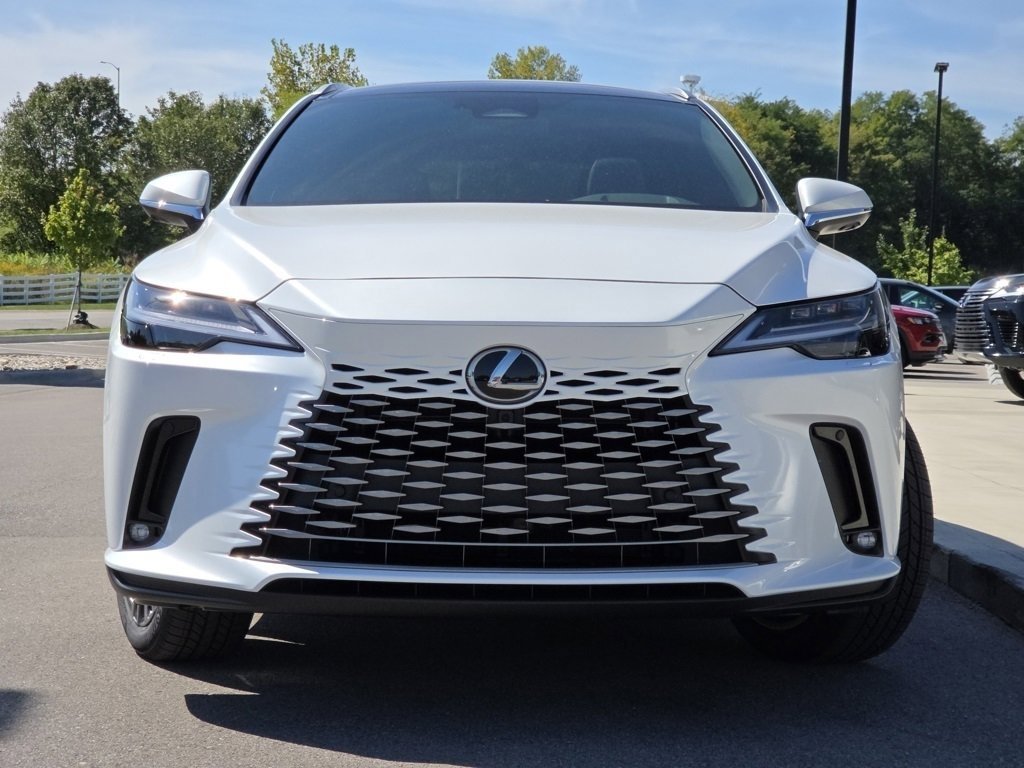 2025 Lexus RX 350h Luxury photo 3