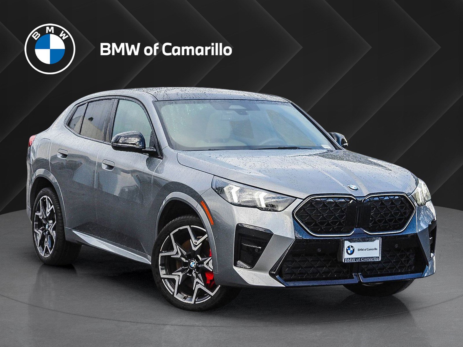 2025 BMW X2 28i's photo