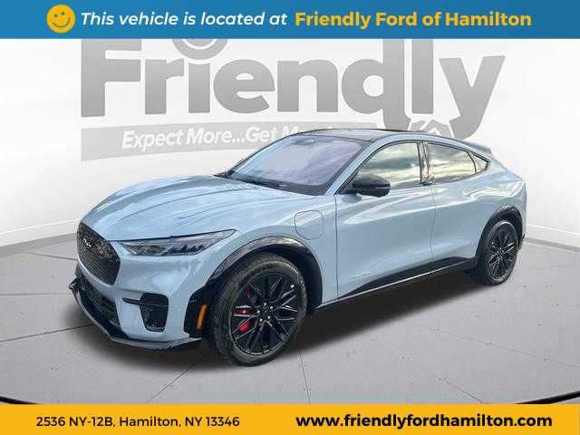 2025 Ford Mustang Mach-E Premium AWD's photo