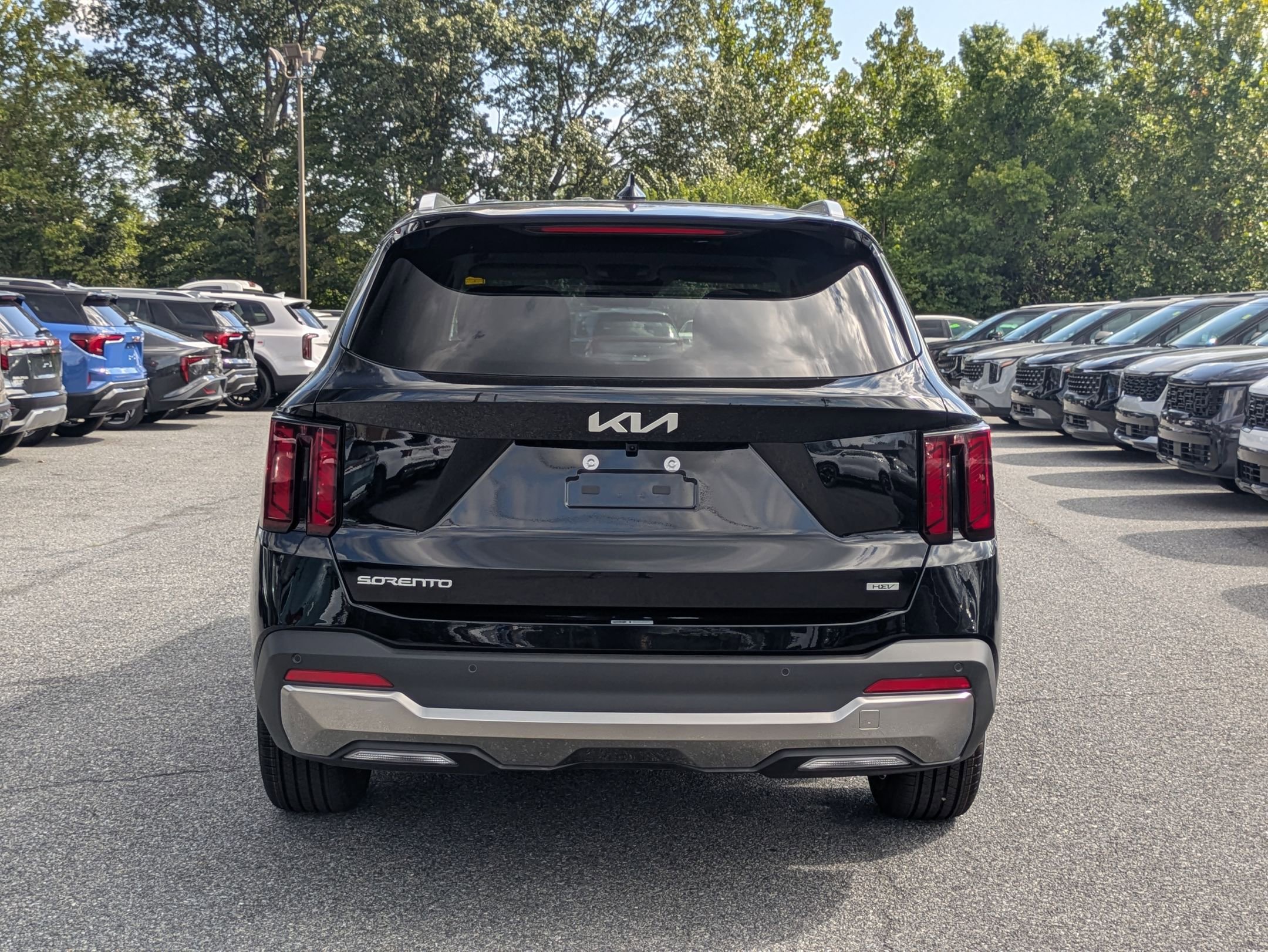 2025 Kia Sorento Hybrid EX photo 4