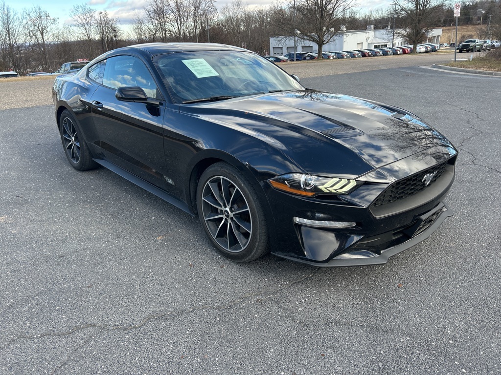2019 Ford Mustang EcoBoost's photo