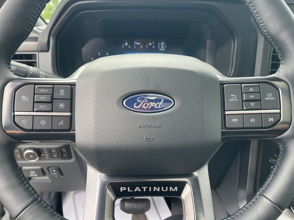 2025 Ford F-150 Platinum photo 11
