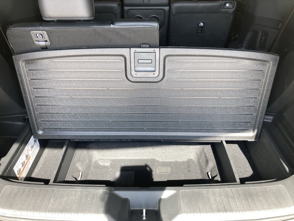 2025 Honda Pilot Black Edition photo 13
