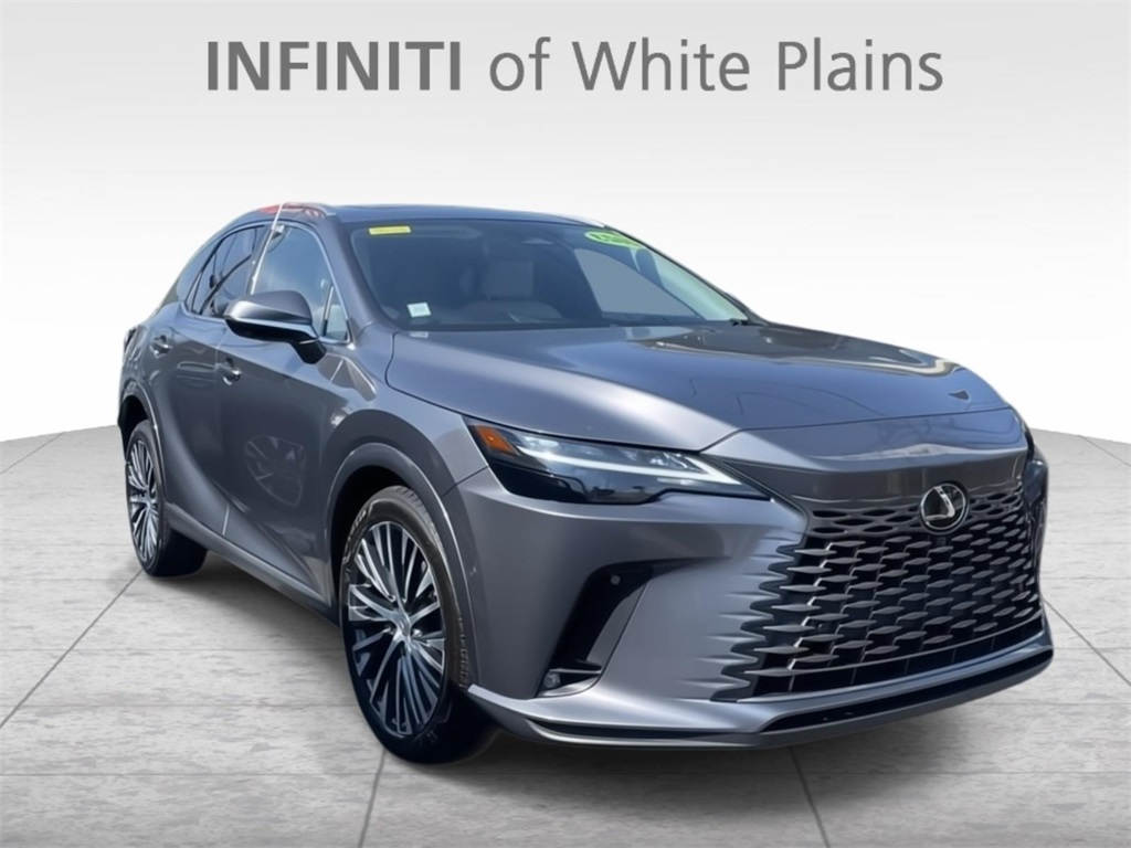 2023 Lexus RX 350 Premium photo 3