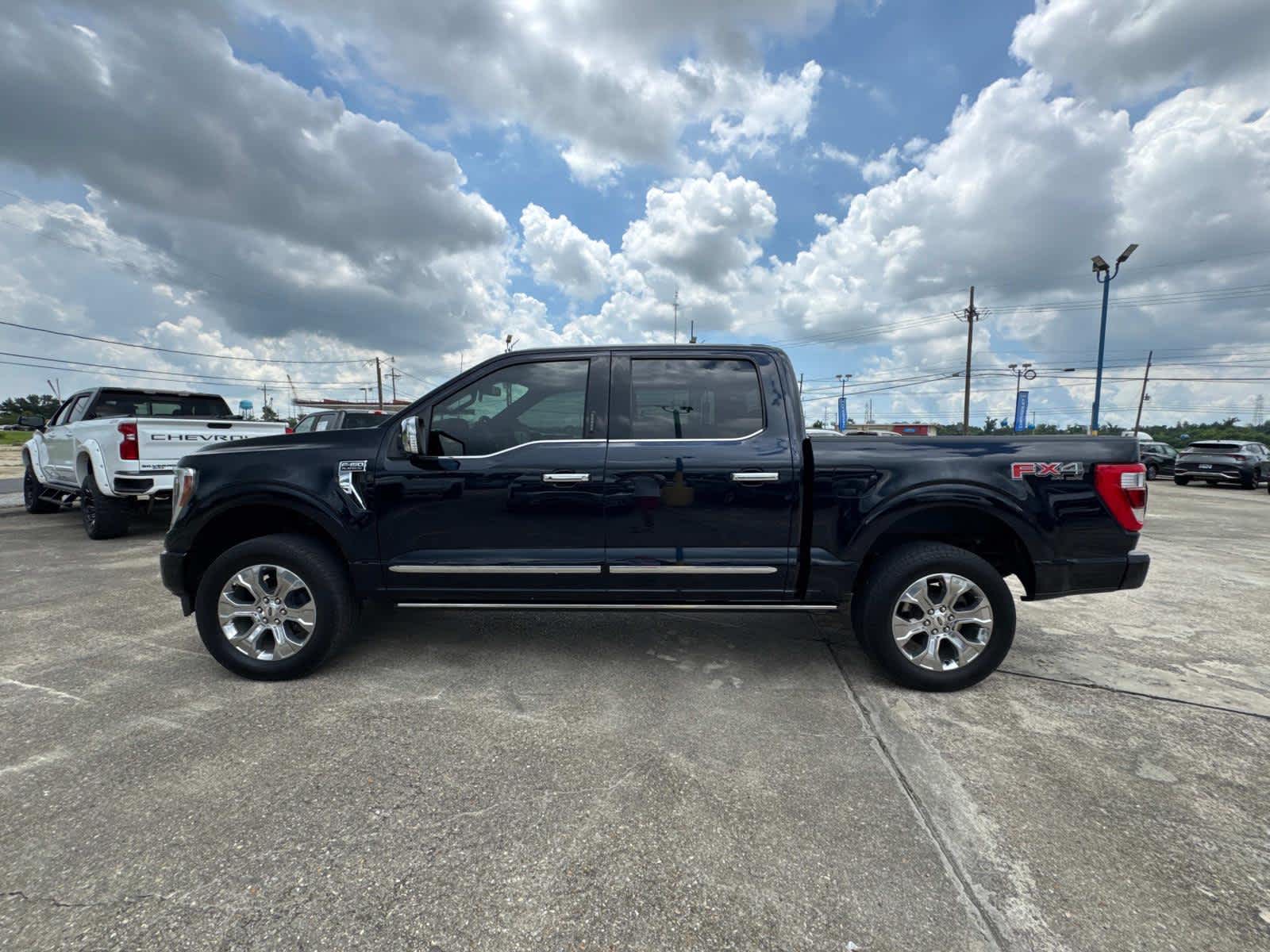 2021 Ford F-150 Platinum photo 16