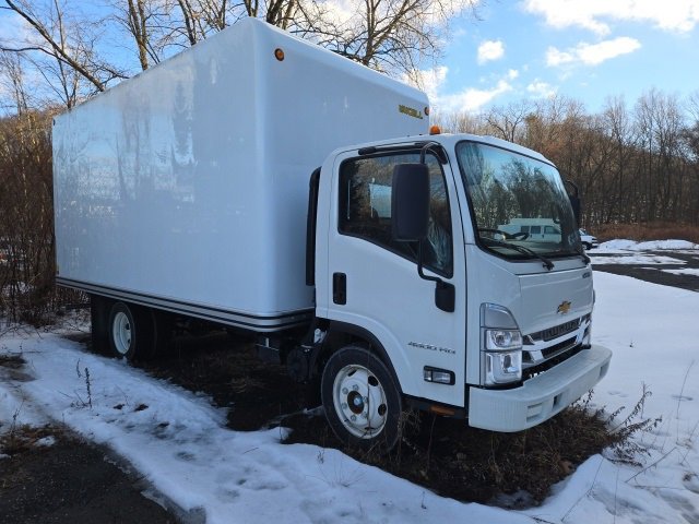 2024 Chevrolet Low Cab Forward Base's photo