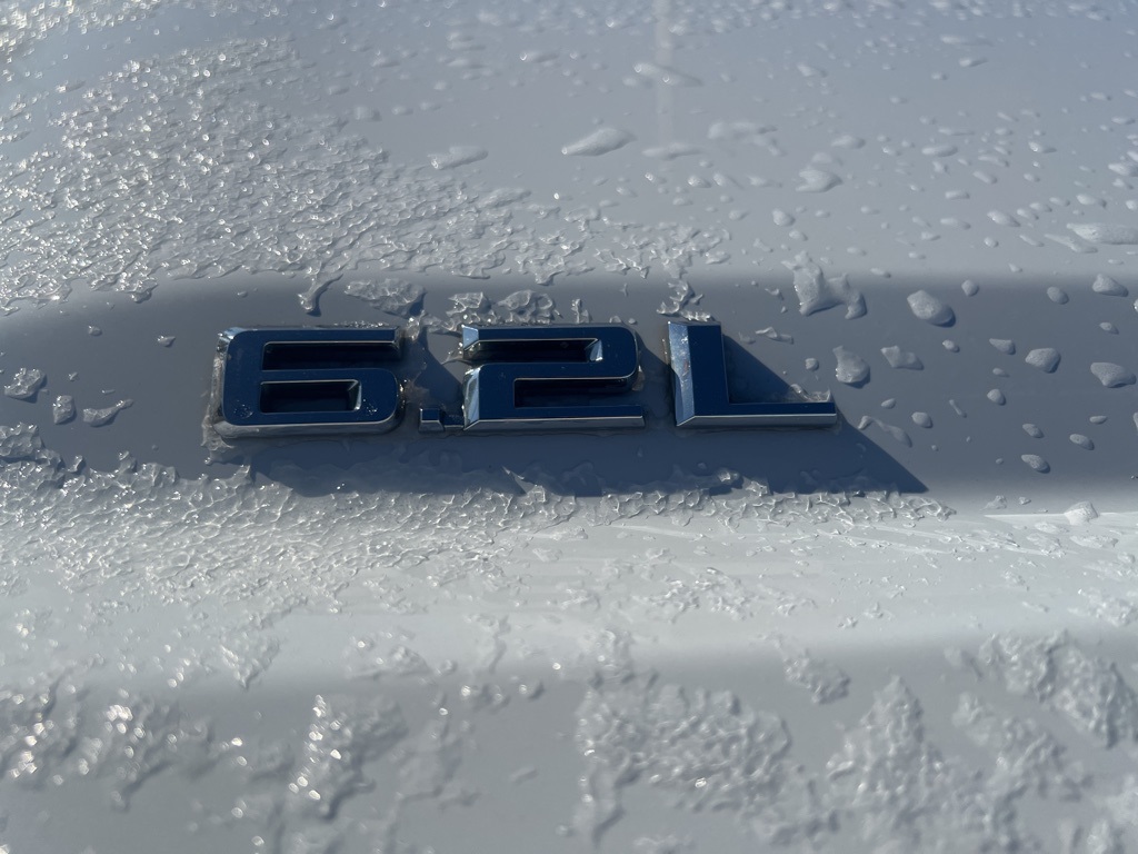 2019 CHEVROLET SILVERADO - Image 4