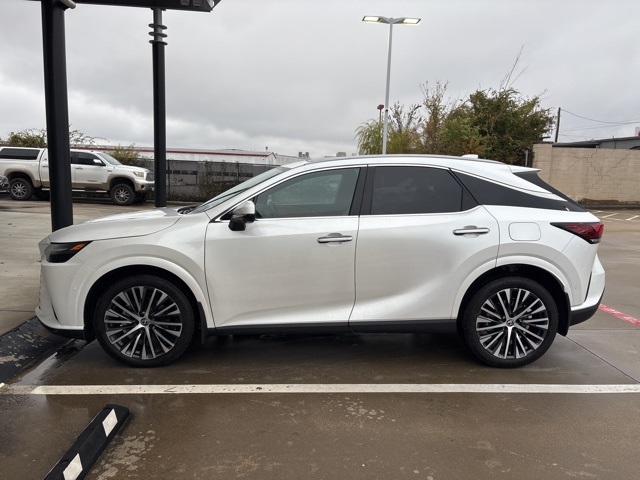 2023 Lexus RX 350's photo