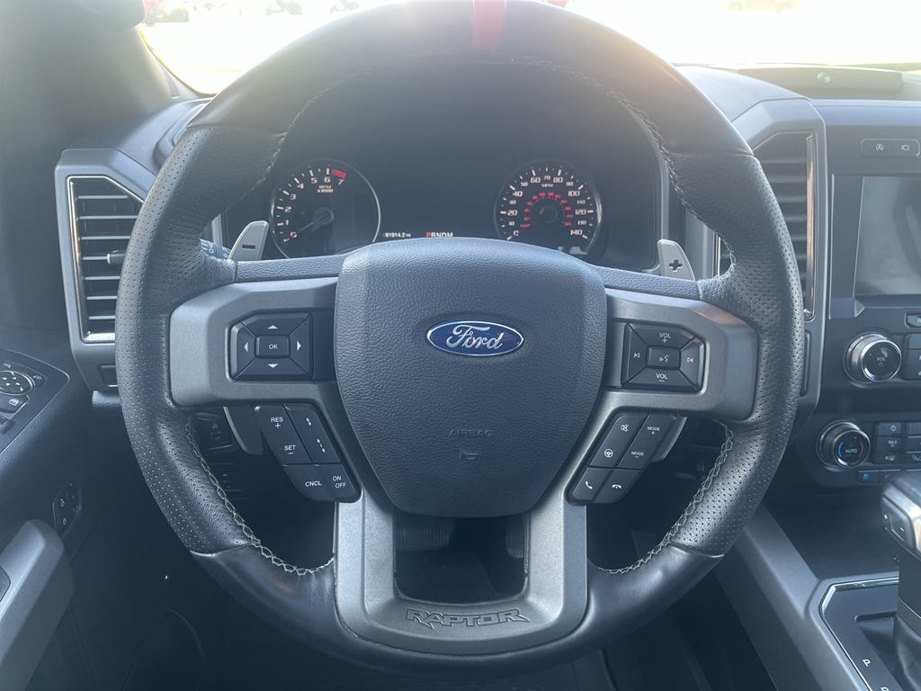 2020 Ford F-150 Raptor photo 10