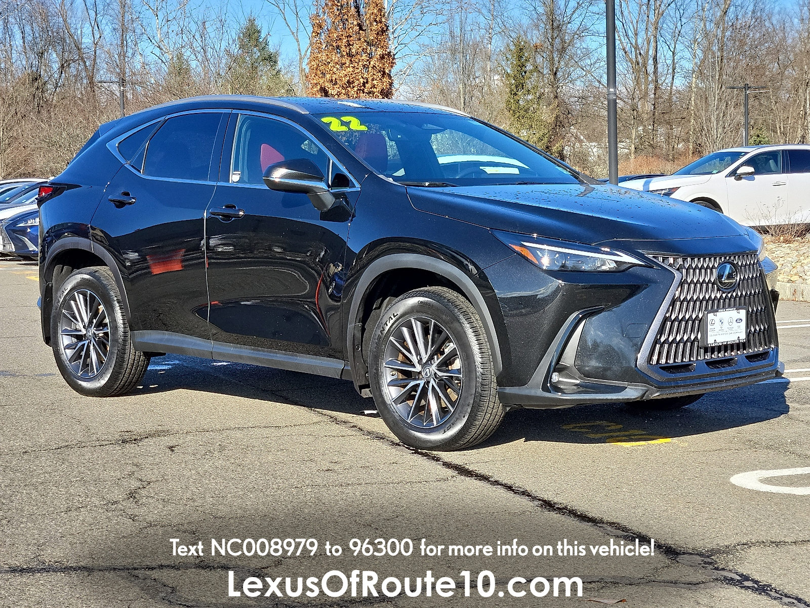 2022 Lexus NX Hybrid 350h's photo
