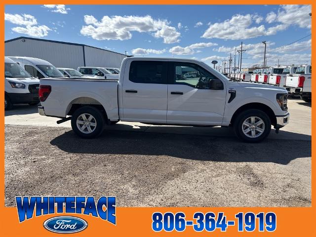 2025 Ford F-150 XL photo 3
